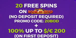 The best Pay by the Mobile bonus deuces wild 1 hand online for real money Betting Web sites