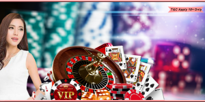 Player Casino Bonus 2000 RON, Rotiri gratuite Player 2024