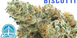 Store Cannabis Items Online