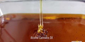 PacksPod Live Resin 2G Banana Flambe