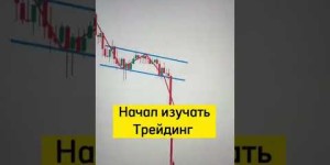 Онлайн-брокер DotBig невинный и выгодный веб-торговля на рынке Forex