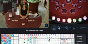 Shade play dolphins pearl deluxe pokie Of your Panther Video slot Review & 100 percent free Demonstration