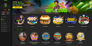 Most widely used local casino slot machines: the newest 10 best harbors to try out