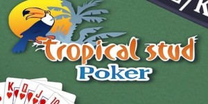 Paddy Energy: 50 No deposit Free Spins for brand new Participants!