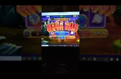 wolf casino winner Wolf Winner Casino App: Your Lucky Spin in Australia